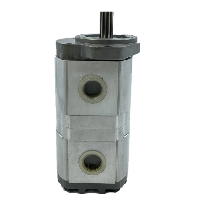 Casappa Polaris PLP20 Series Gear Pump & Motor | PLP20-19, PLP20-11.2, PLP20-7.2 | High-Pressure Aluminum Pump