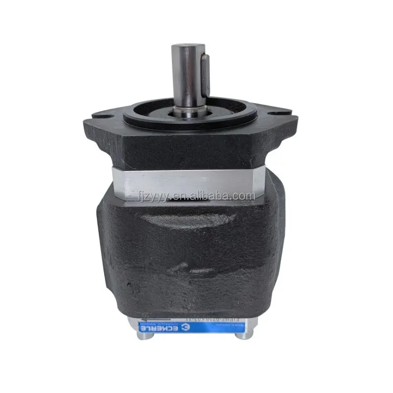 HQ12/HQ13 Series Gear Pump | HQ12-016RK23-10S122, HQ12-016RA04-11S | CNC Bending Machine Pump