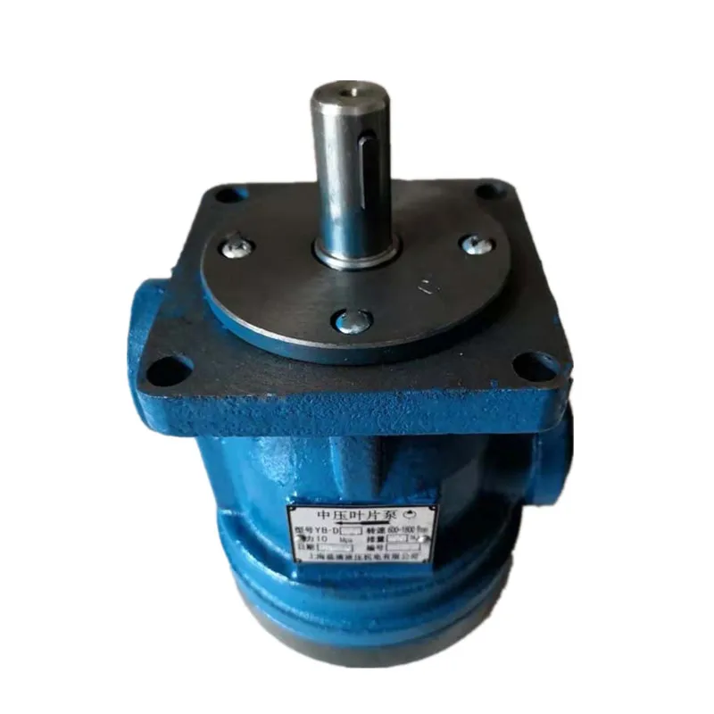 YB1D YB-D Series Vane Pump | YB1D-25, YB-D63, YB-D100 | Hydraulic Pump